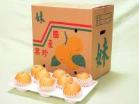 32 粒入 大 4層/ 箱 13兩
