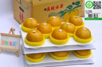 16 粒入 大 2層/ 箱 13兩